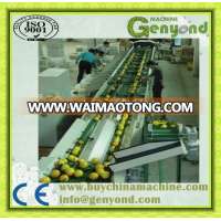 Hydraulic Automatic Loading Electronic Fruit Grading Machine