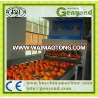 citrus fruit waxing machine