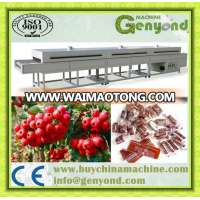 Automatic Induction Fruit leather production line