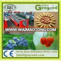 automatic cherry tomato grading machine/cherry tomato grader