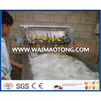 complete set of mango pulp processing line