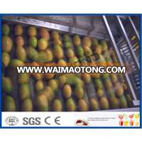 Complete mango juice processing machine/mango juice concentrate processing line/plant