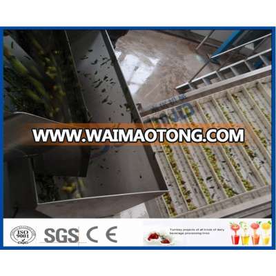 food grade jujube processing line/Date process line/Date palm process line