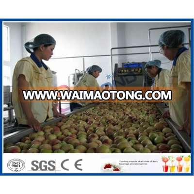 Automatic fruit tomato peach apple strawberry peach apricot plum jam pulp production processing line