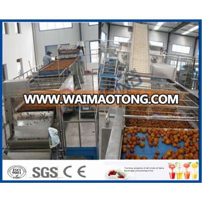 Jujube, hawthorn fruit production line, fruit and vegetable deep processing production line