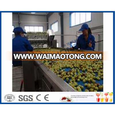 Date/Jujube Processing Line with evaporator for concentrate juice