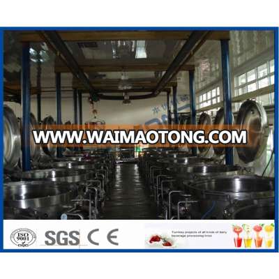 dates processing line/dates production line/jujube washing machine