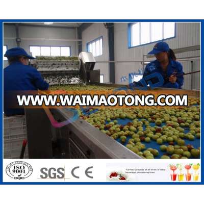 Full-auto Jujube fruit juice processing line concentrate date juice line high quality eveporator