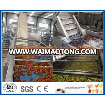 Large Capacity Date Paste Paste Line Arab Dates Processing Machine Date Factory Line