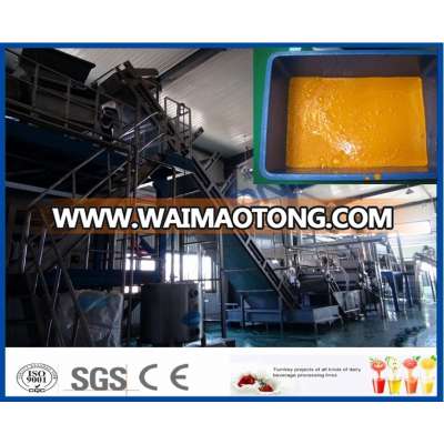 China manufacturer sea buckthorn fruit juice production line