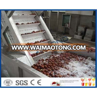 Date syrup production line/ date paste processing machine / date honey making machine