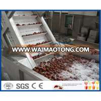 Date syrup production line/ date paste processing machine / date honey making machine