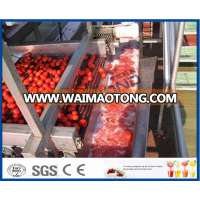 tomato paste processing machine/plant