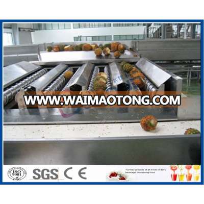 Hot-sale manufacturing process pineapple juice production line from Chinese Manufacture