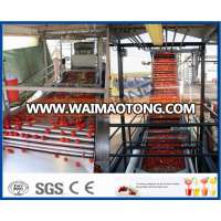 industrial type tomato puree, paste, ketchup, suce processing line