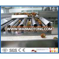 Fruit juice Extraction Machine/ Fruit Pulp Machine 5TH Pineapple Processing Line