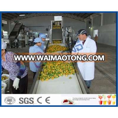 Complete Mango Juice Processing Machine/mango Juice Concentrate Processing Line/plant