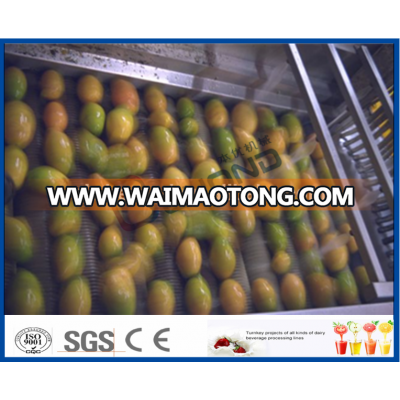 Juice Product Type and Box Packaging fresh juice processing line