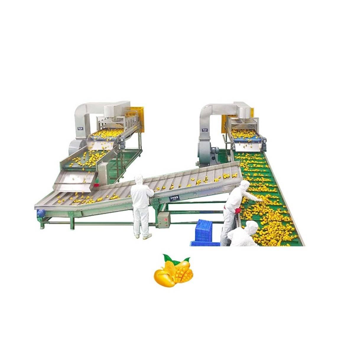 Automatic Industrial Fresh Mango Pulp Juice Paste Beverage Making Machine Mango Processing Production Line